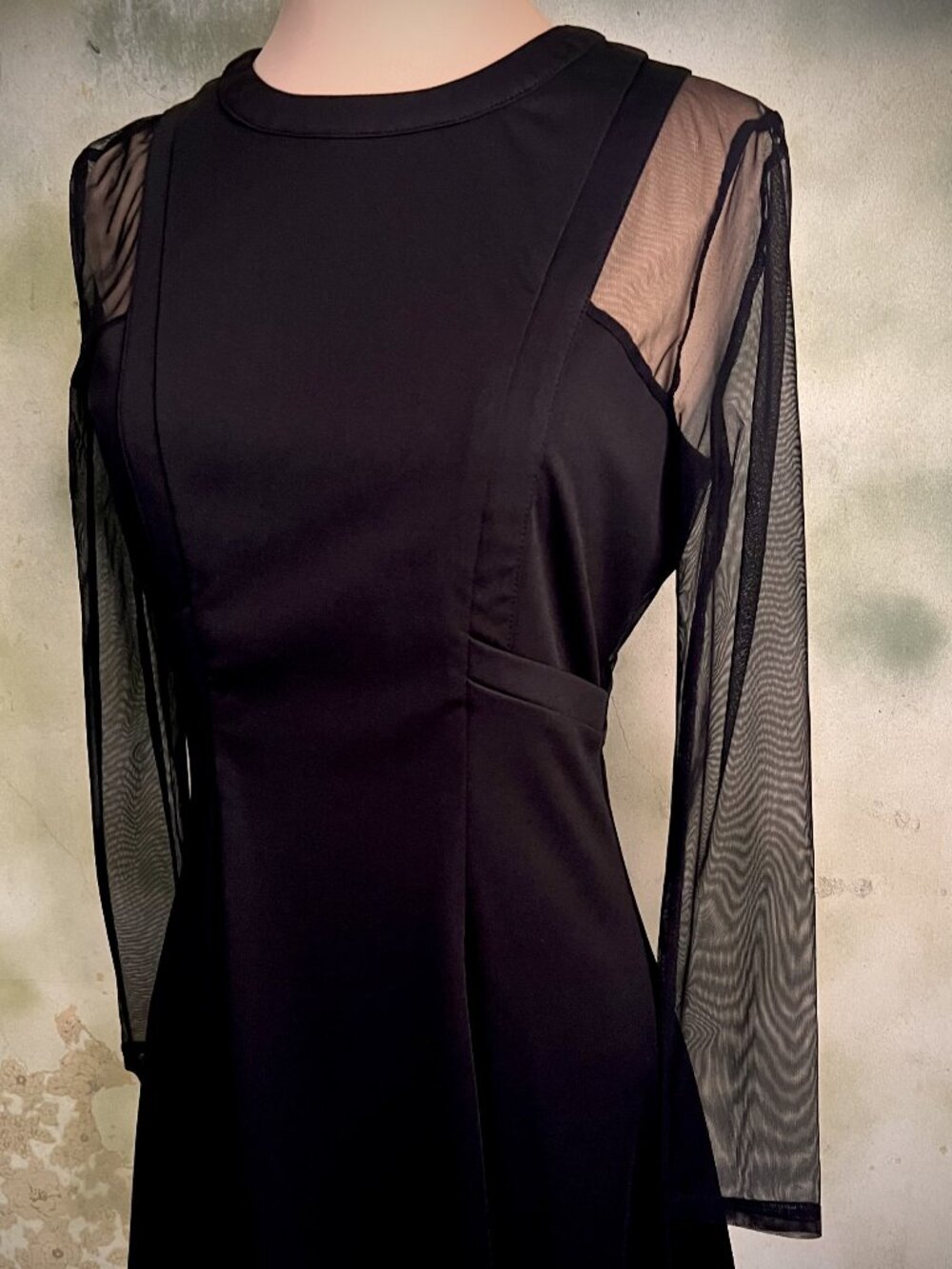 Black Sheer Mesh Sleeve Fit & Flare Dress Size Medium